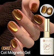 Sa06aaf36bd624ab6a3ecb374c09cbca92