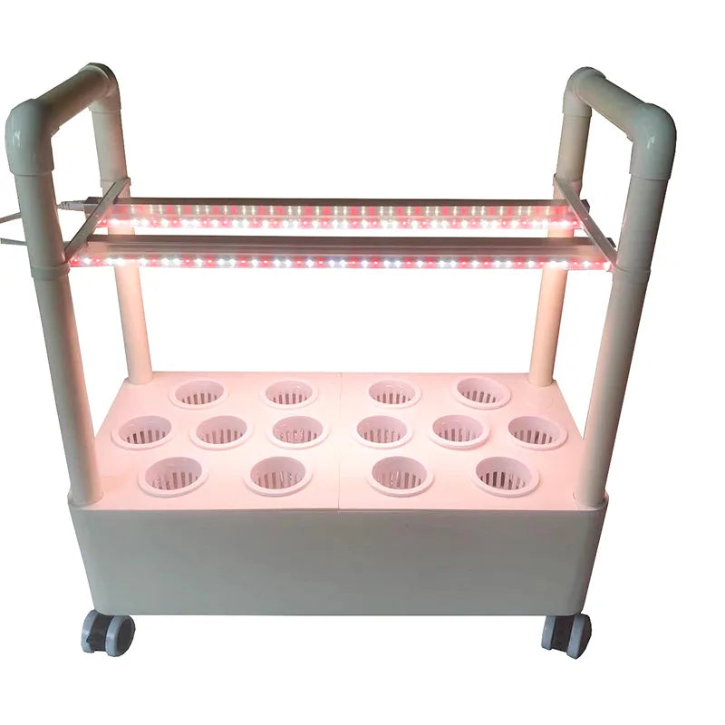 MDNG Hydroponischer Blumentopf – 3D-Hydroponik-Pflanzkasten für den Hausgarten