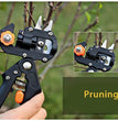 Sécateur et greffoir TOTNEND – Sécateur pour arbres fruitiers + 2 lames supplémentaires (27 cm)