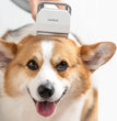 Huisdier Trimmer & Grooming Kam – 2-in-1 Haartrimmer voor Honden en Katten