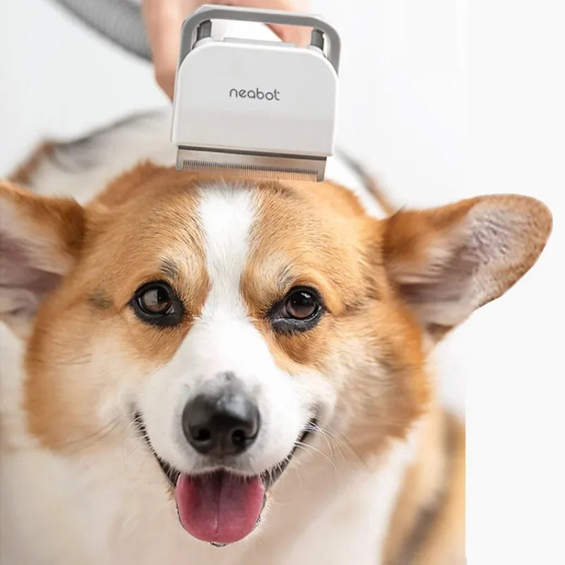 Huisdier Trimmer & Grooming Kam – 2-in-1 Haartrimmer voor Honden en Katten