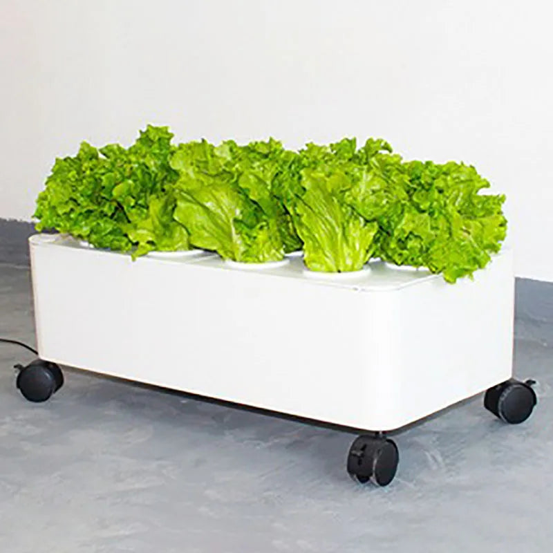 MDNG Hydroponischer Blumentopf – 3D-Hydroponik-Pflanzkasten für den Hausgarten