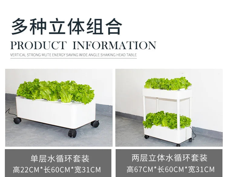 MDNG Hydroponischer Blumentopf – 3D-Hydroponik-Pflanzkasten für den Hausgarten