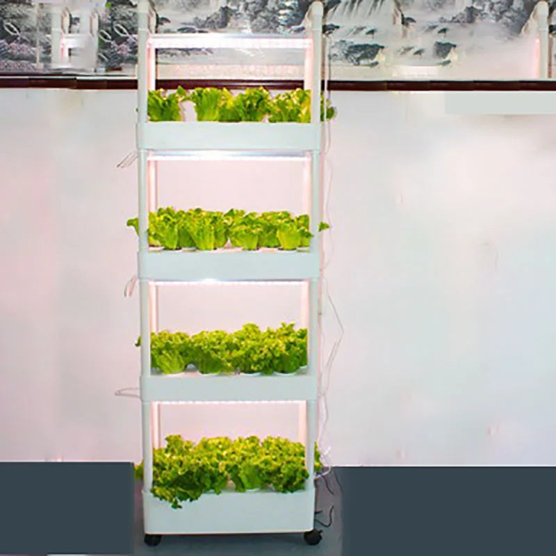 MDNG Hydroponischer Blumentopf – 3D-Hydroponik-Pflanzkasten für den Hausgarten