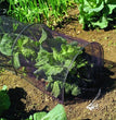 Tunnel de jardin en filet anti-insectes 300 x 45 x 45 cm – Protection en maille noire pour légumes
