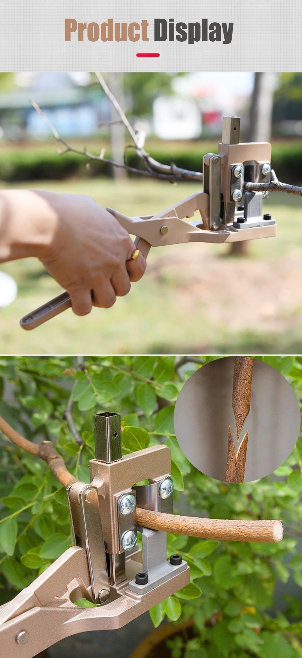 QDS V-Cut Entsnoeischaar – Professionele Grafting Shears (Snijdiepte 2,5 cm)