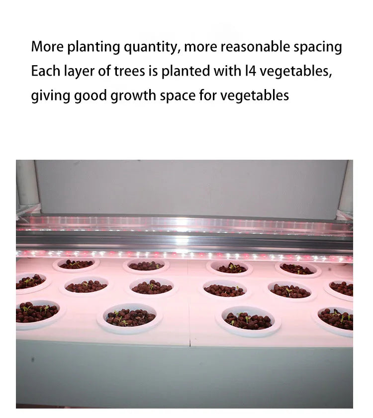 MDNG Hydroponischer Blumentopf – 3D-Hydroponik-Pflanzkasten für den Hausgarten