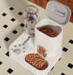 Grote Automatische Voer- en Waterdispenser voor Honden & Katten