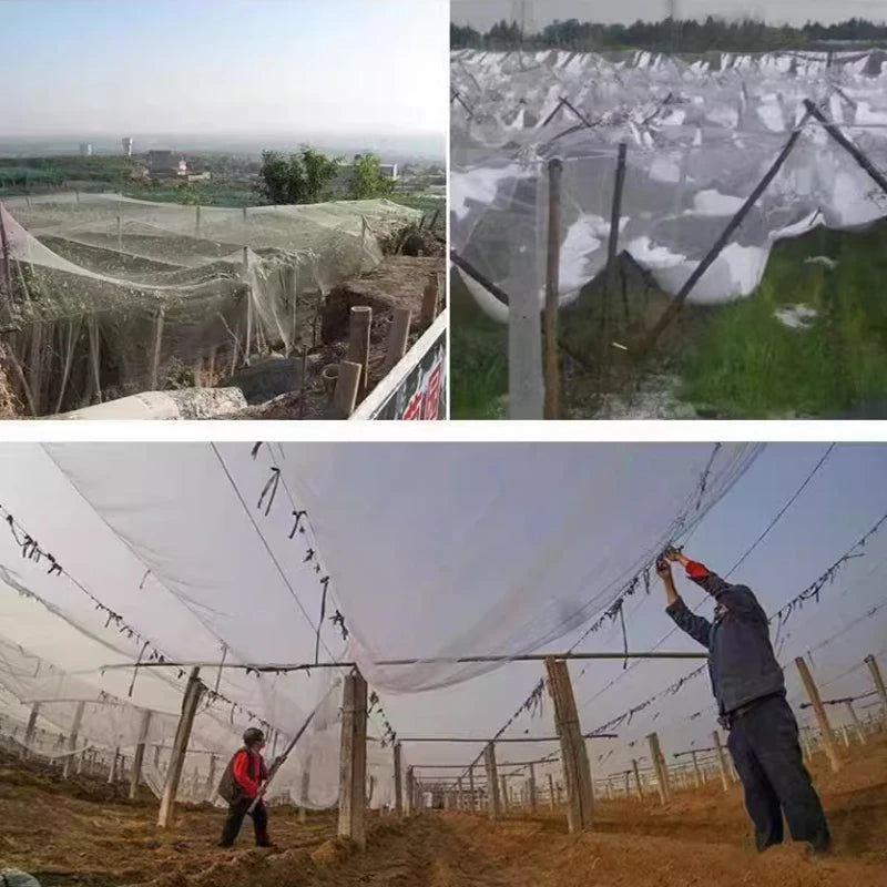 Filet de jardin MAHFPME – Filet anti-oiseaux et de protection des plantes (maille 0,5, PE)