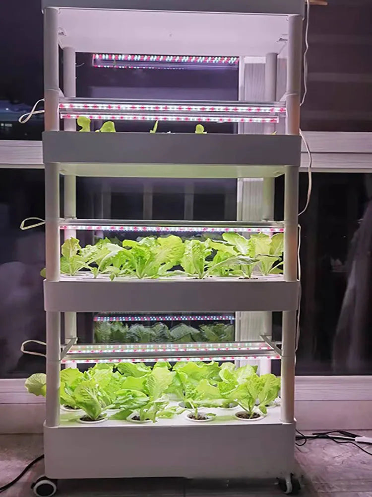 MDNG Hydroponischer Blumentopf – 3D-Hydroponik-Pflanzkasten für den Hausgarten