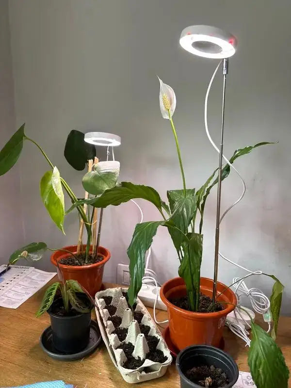 LED Kweeklamp voor Binnenplanten – Full Spectrum Groeilamp met Timer & Dimfunctie (5V USB)