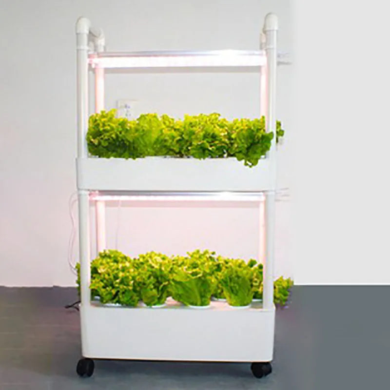 MDNG Hydroponischer Blumentopf – 3D-Hydroponik-Pflanzkasten für den Hausgarten