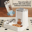 Grote Automatische Voer- en Waterdispenser voor Honden & Katten
