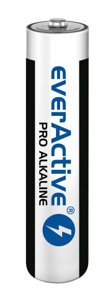 Pack de 10 piles AAA everActive, alcalines Pro, Micro LR03 R03 1,5 V 